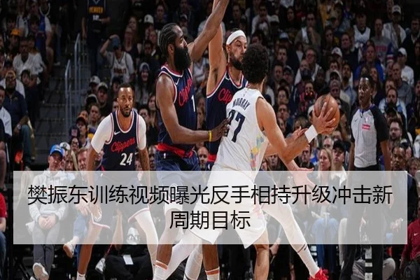 樊振东训练视频曝光反手相持升级冲击新周期目标