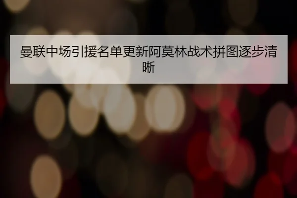 曼联中场引援名单更新阿莫林战术拼图逐步清晰